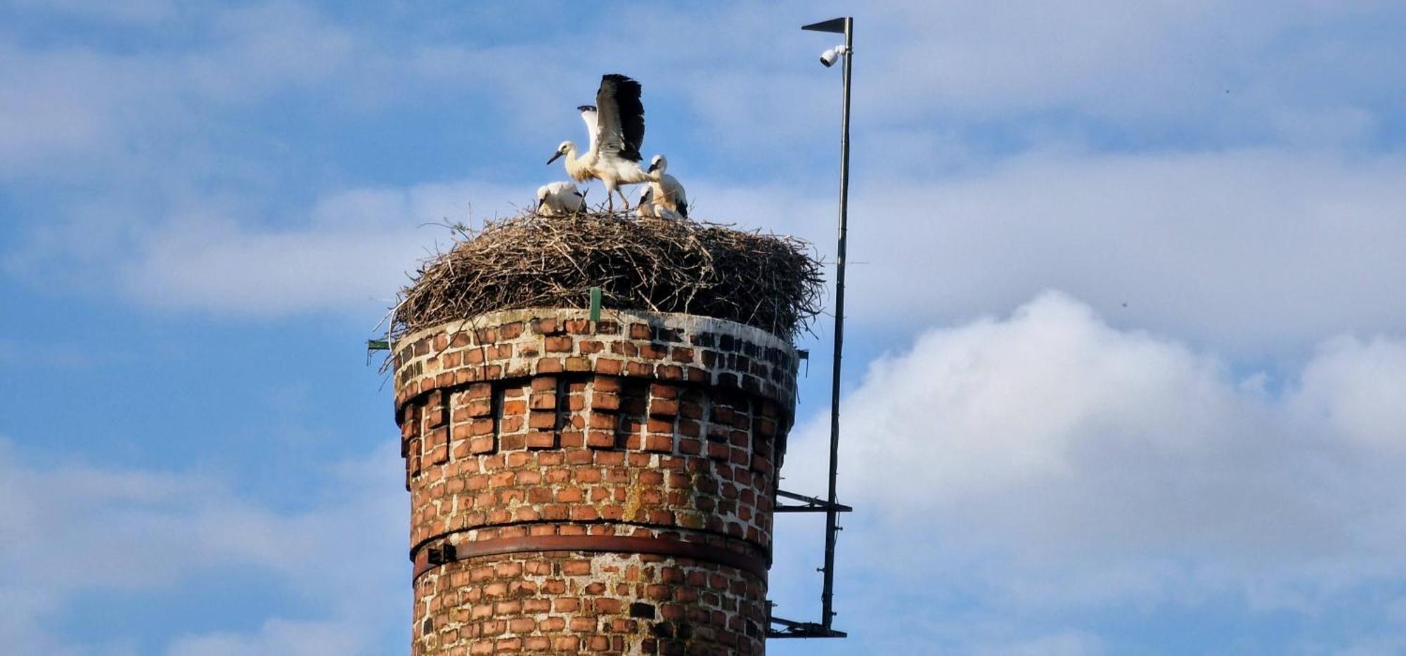 Apartmany Pod Capy, Nasavrky Buitenkant foto
